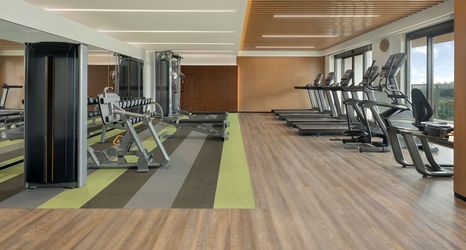 기타 2 Element Yangjiang Hailing Island