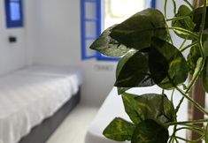 その他 6 DreamInn