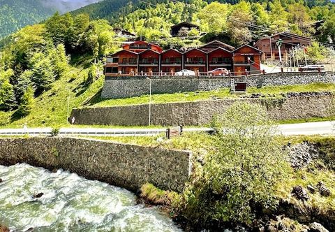 Others Green Cinar Apart