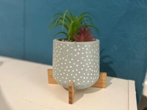 Others 4 Balham Double Deluxe Room 2