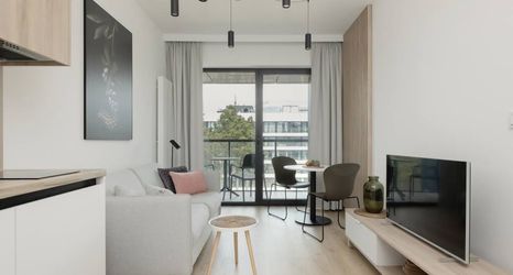 기타 2 Art Forrest 33 K in Rogowo