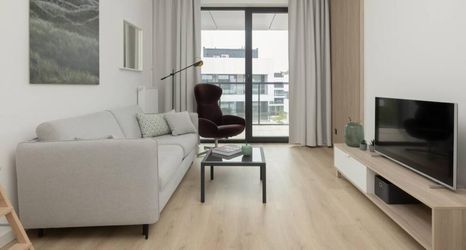 其他 2 Art Forrest 33 B in Rogowo