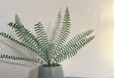 Others 7 Balham Double Deluxe Room 4