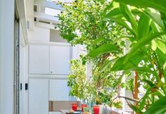 Others 7 360 View in Roof top Appartment With Patio