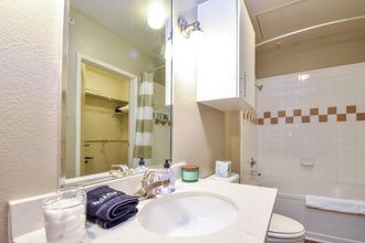 其他 4 Plano Executive 1BD 1BA Apartment