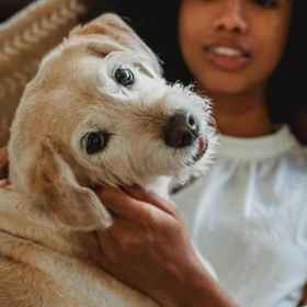 Room1Plano Family Ready 2BD 2BA Apartment,Royal Empire Trucking, LLC飯店