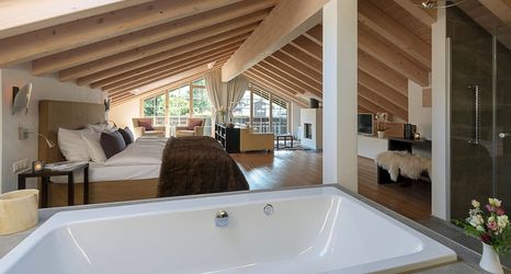 其他 2 Mirabeau Alpine