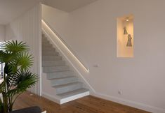 其他 5 Luna Rossa - Artcooking by Homie