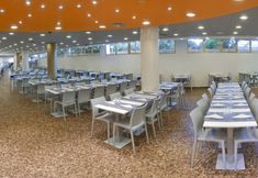 Others 6 ALEGRIA Mercury