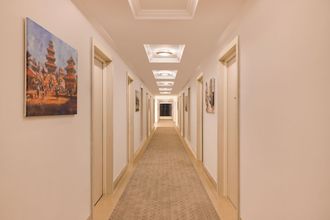 기타 4 Lemon Tree Premier Budhanilkanth