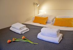 Others 6 Central Cracow Apartments