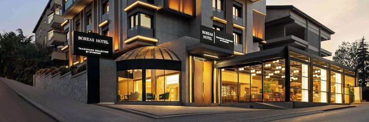 其他 Boreas Hotel, Trademark Collection By Wyndham