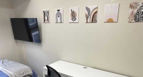 其他 2 Counting Z's