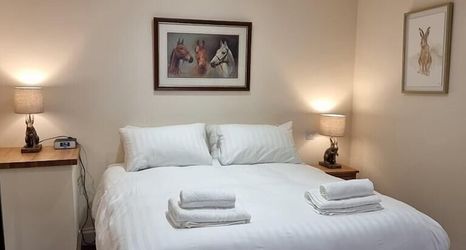 其他 2 The Forester