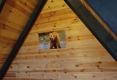 อื่นๆ 2 Zekeriyaköy Dağevi