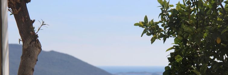 기타 Apex Apart Suites