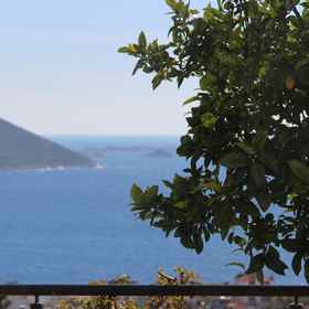 Primary image 1 에이펙스 아파트 스위트, Kas Kekik Apart 호텔