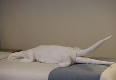 其他 6 Mariam Hotel