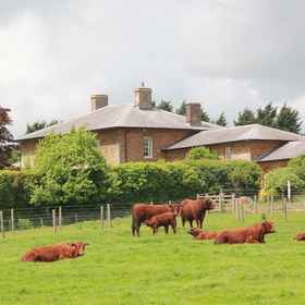 Primary image 1 Beautiful 2 Bedroom Barn in Towcester Northants, Hotel Northamptonshire