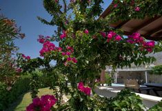 Others 2 Villa Armonia two Bedroom Villa