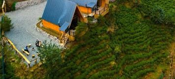 其他 3 Komilo vadi bungalov