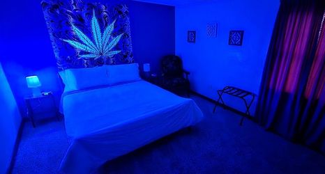 기타 2 The Canna House by High Society Rentals