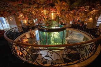 Others 4 Hotel & Restaurant Infinity