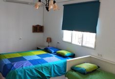 その他 4 Studio Tropical