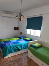 その他 4 Studio Tropical