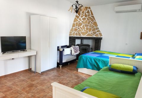 その他 Studio Tropical