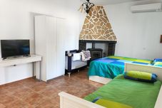 その他 Studio Tropical