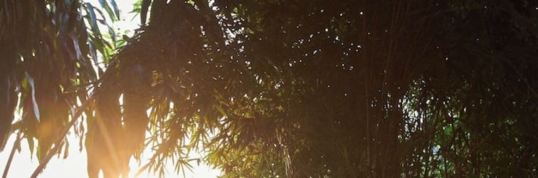 Lainnya Ha Long May5