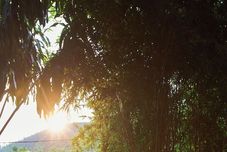 Lainnya Ha Long May5