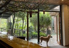 Lainnya 7 Ha Long May5