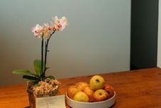 其他 Pousada Girassol Morro