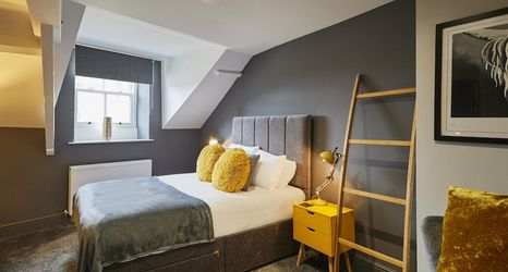 其他 2 Host Stay Ochre Yellow