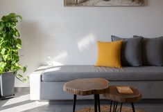 其他 7 Santa mar Eco suites