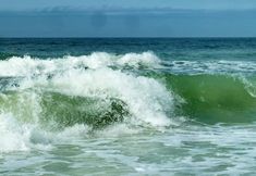 อื่นๆ 7 Amadeus 10