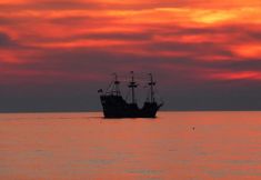 기타 5 Caprice 301