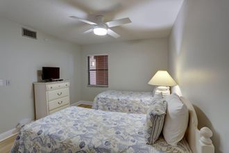 기타 4 Emerald Isle 502 - Premier