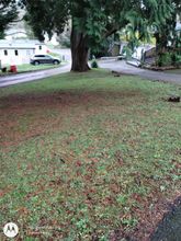 Others 4 Immaculate 2-bed Lodge in Nr Mevagissey