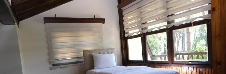 기타 ÇINARSUYU TABİAT PARKI BUNGALOV