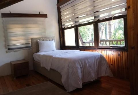 기타 ÇINARSUYU TABİAT PARKI BUNGALOV