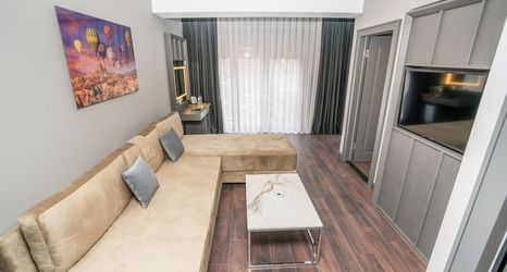 其他 2 216 Style Suite