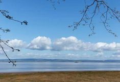 Others 5 Captivating 7-bed House in Bristol