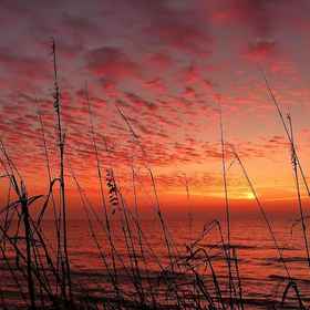 Primary image 1 海贝24号, 太阳海岸海鸟保护区 酒店