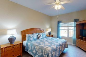 Others 4 Palms Of Treasure Island #210