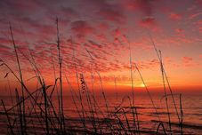 Others Barefoot On The Shores II