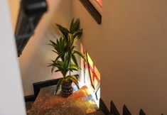 其他 7 Aşiyan Yalısı