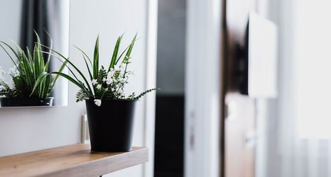 อื่นๆ 2 The Han YK